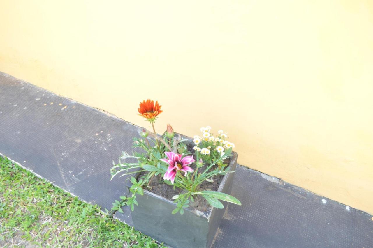 San Benito * Concordia